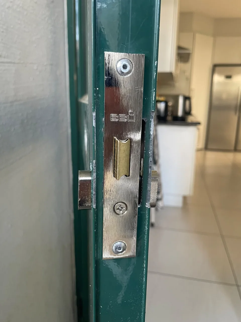 Metal lock plate fitted in a green security gate